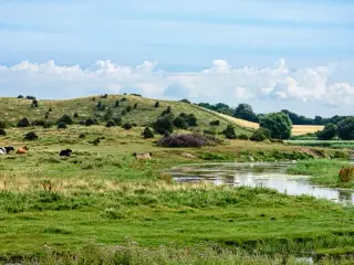 Jagt søges Sjælland
