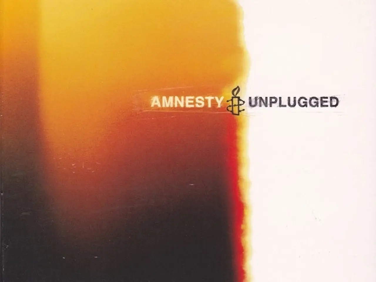 Billede 1 - Diverse kunstnere – Amnesty Unplugged – CD