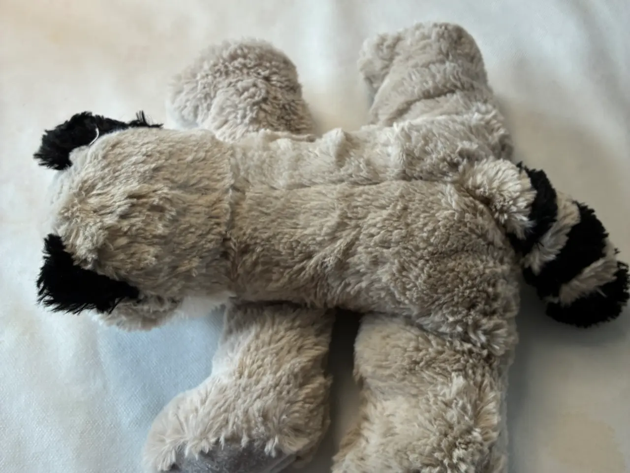 Billede 4 - Blød vaskebjørn, bamse