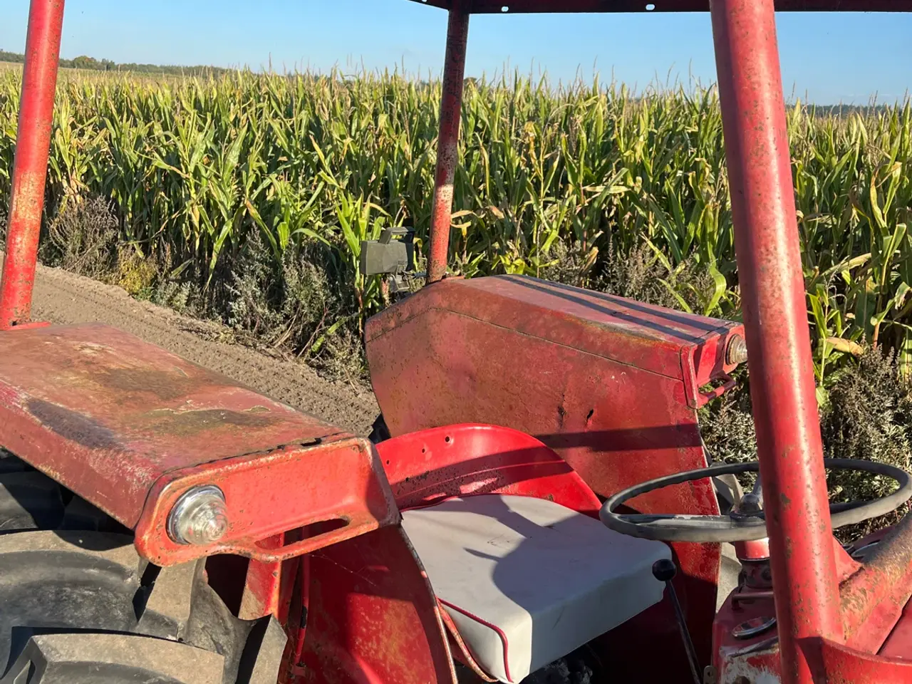 Billede 6 - Massey Ferguson 135 med ny motor