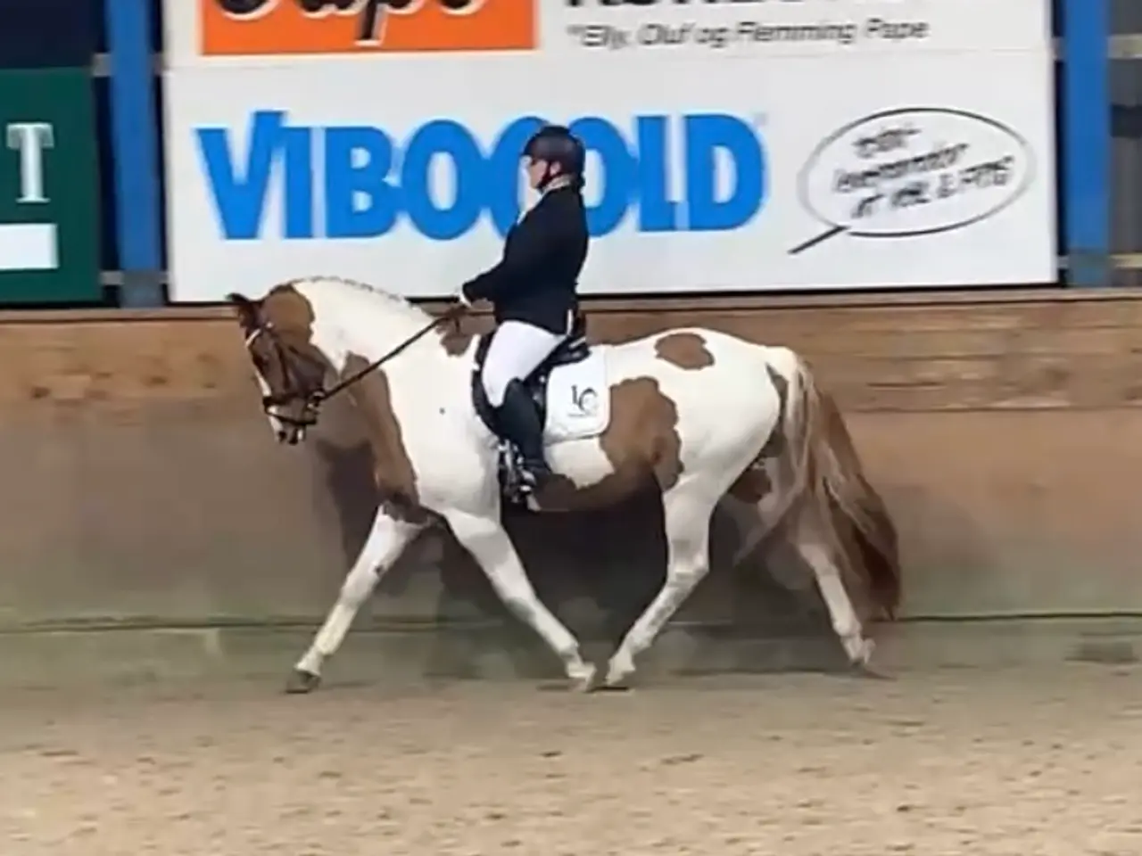 Billede 4 - Perfekt junior hest/ luksus kone hest ❤️ - Mor og