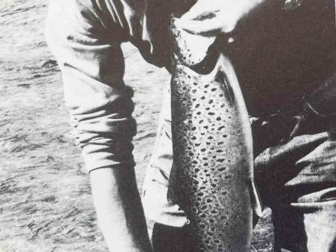 Billede 5 - FLUEFISKER håndbog for lystfiskere - Jens Ploug H.