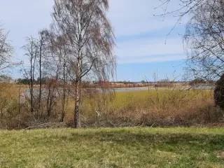 Langeland, Tranekær