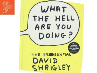 What the hell are you doing? : the essential David Shrigley af David Shrigley (Bog)