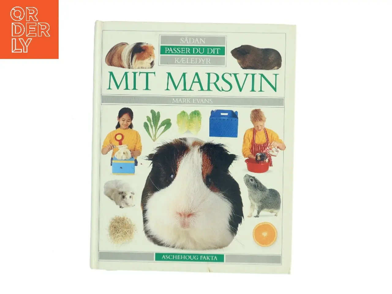 Billede 1 - Mit marsvin af Mark Evans (f. 1962) (Bog)