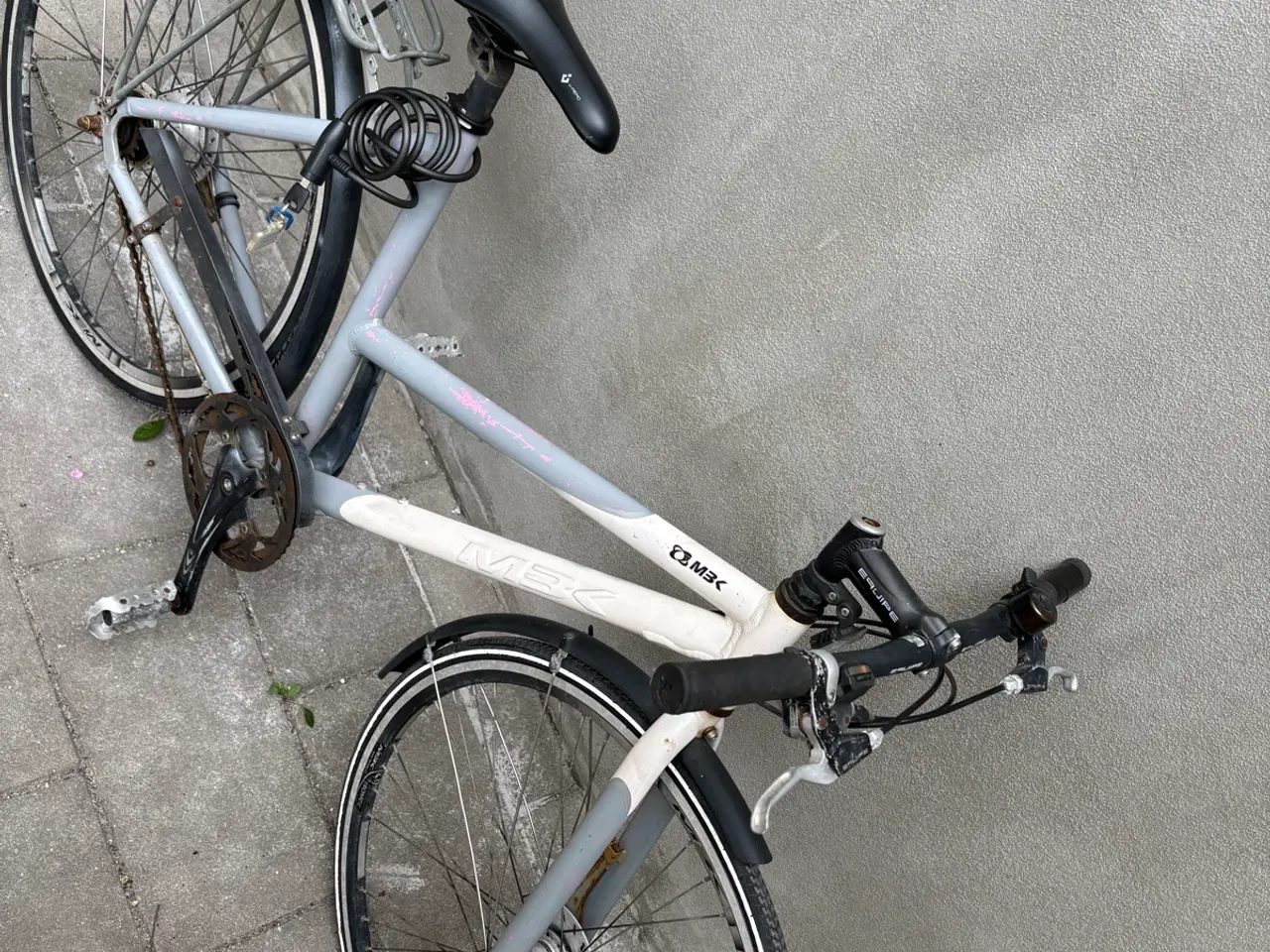 Billede 8 - 2 voksne velholdte cykler 