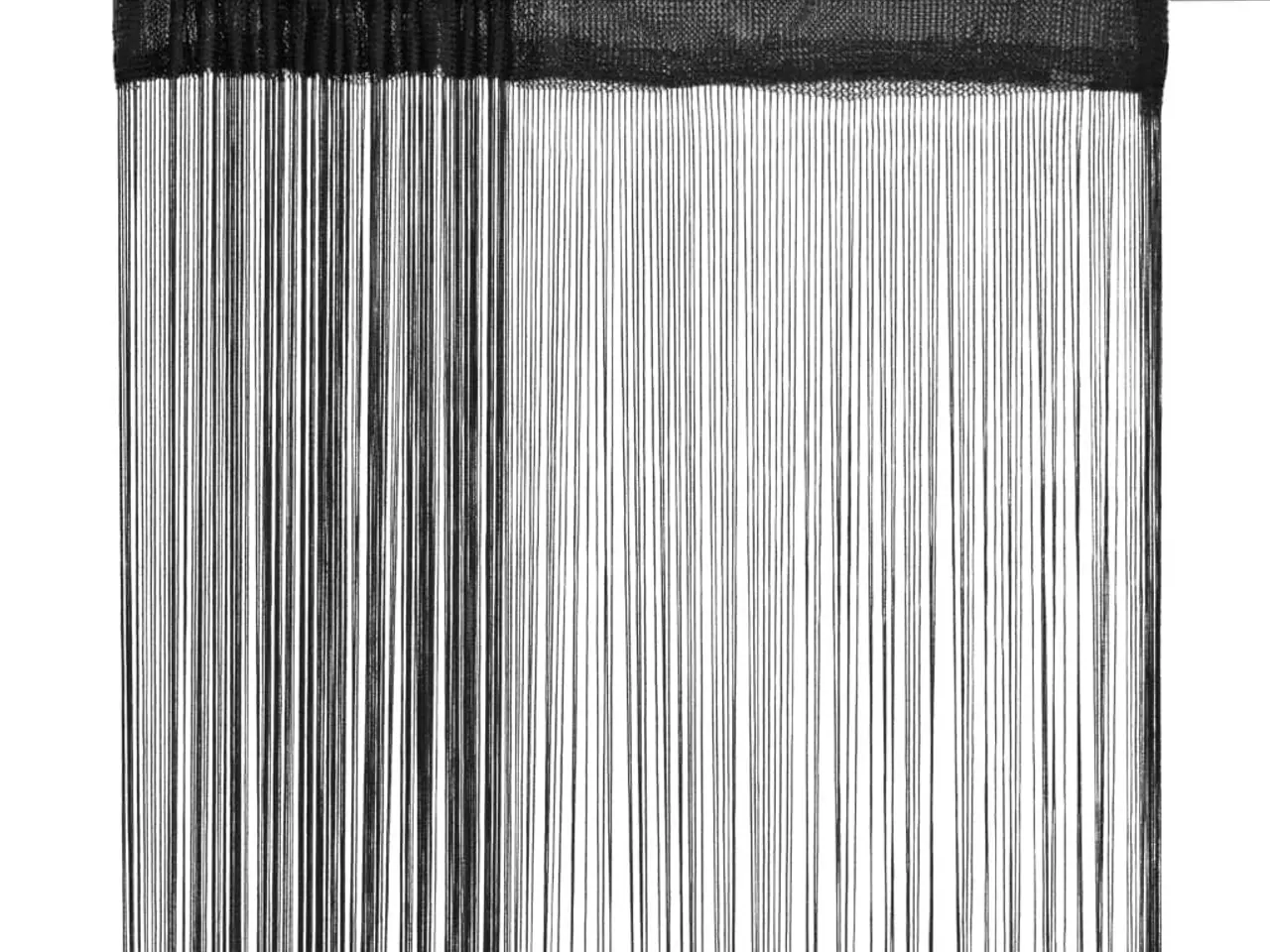 Billede 1 - Trådgardiner - 2 stk. 100 × 250 cm - sort