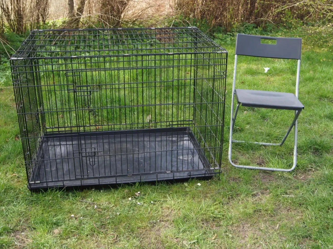 Billede 2 - 🐶 Stort og solidt hundebur – Pluto Premium (X-Lar