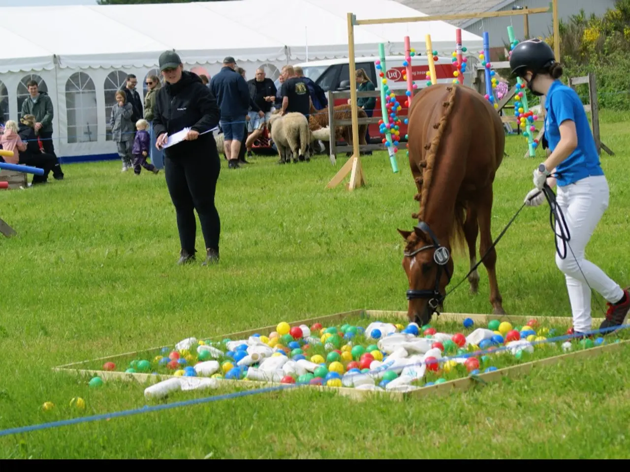 Billede 7 - Dansk Sports pony kat. 1
