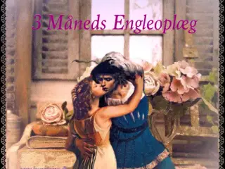 3 Måneds Engleoplæg.