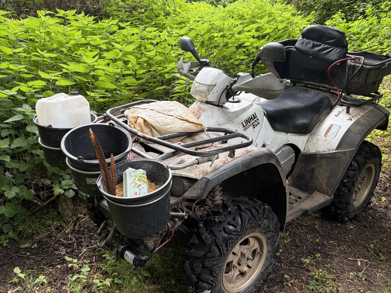 Billede 6 - ATV 600