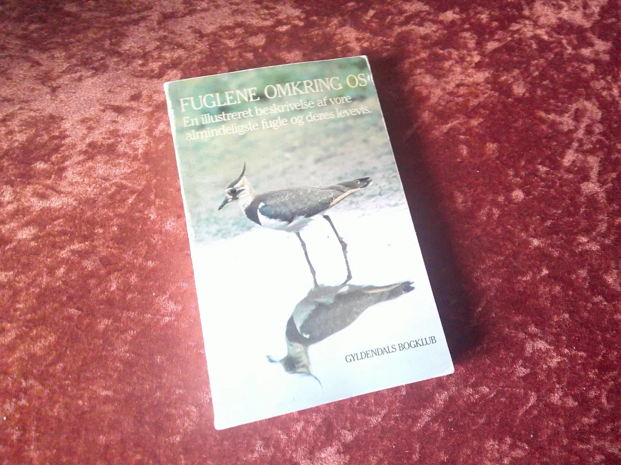 Billede 1 - Fuglene omkring os, Arne Broman, Eric Palmquist