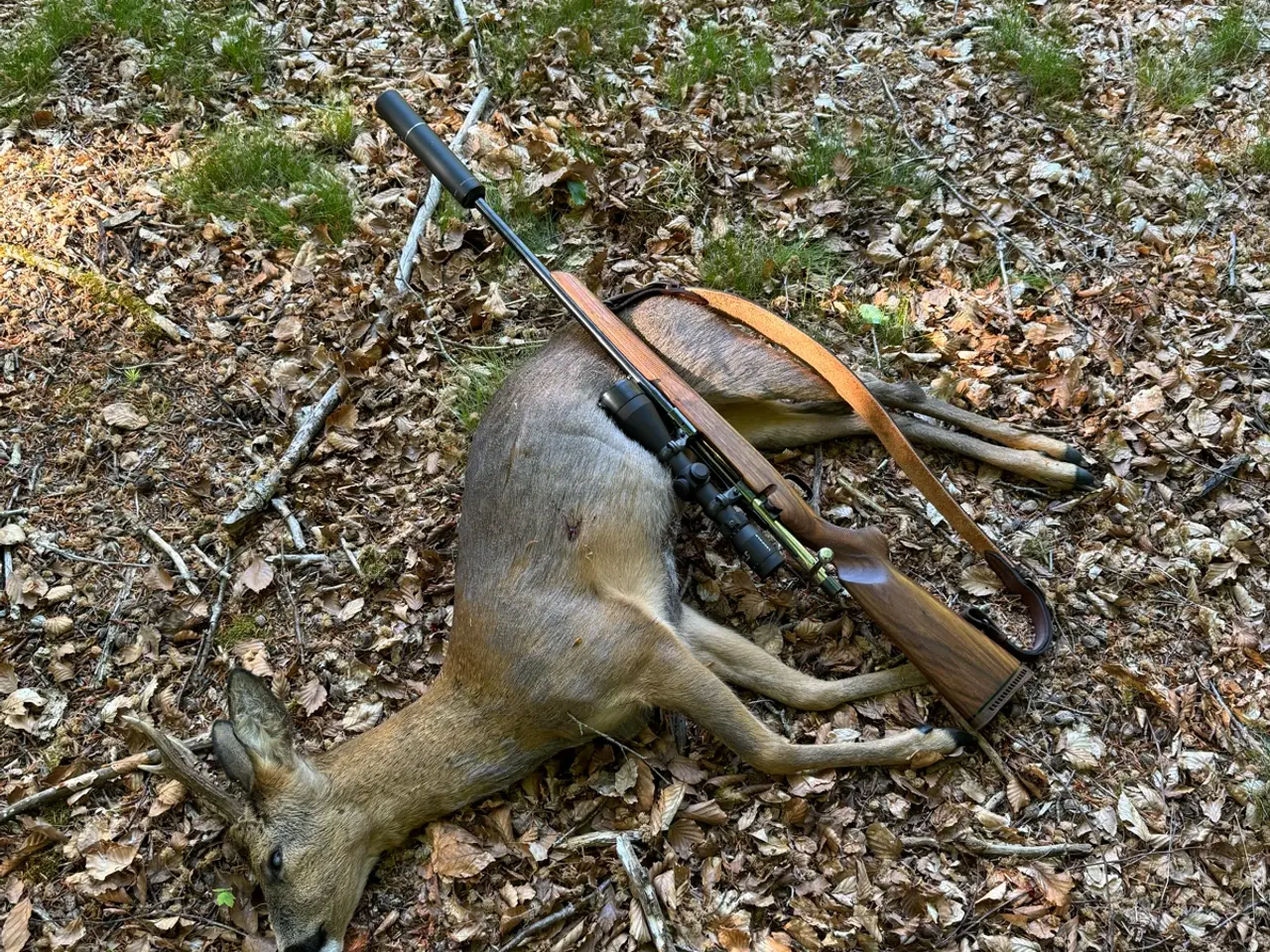 Billede 10 - Schultz & Larsen Hunter 6.5x55