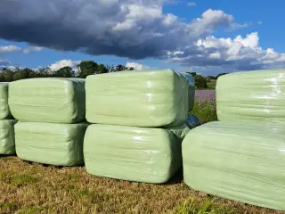 Wraphø sælges