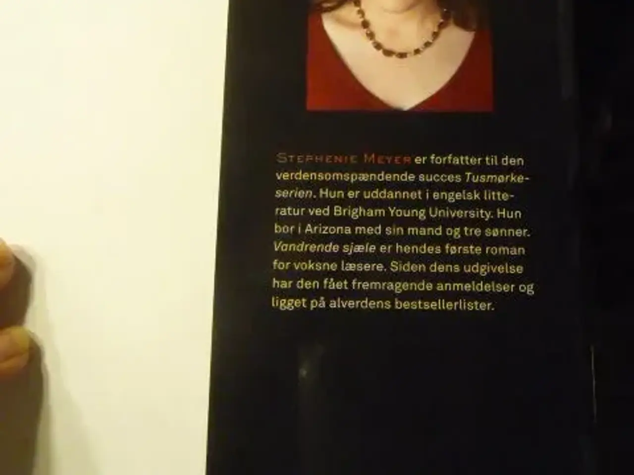 Billede 3 - Vandrende sjæle