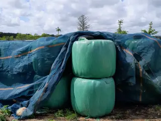 Wraphø sælges.