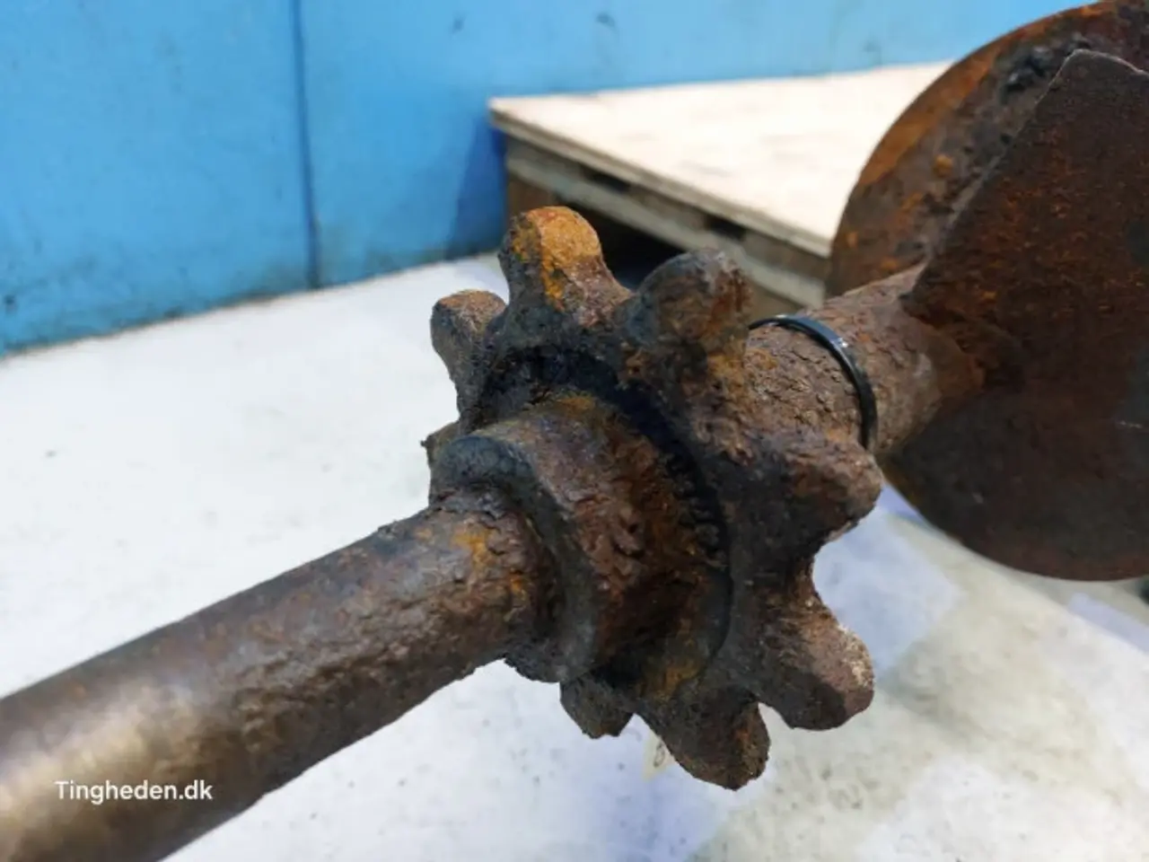 Billede 16 - Massey Ferguson 7274 Snegl 28485000