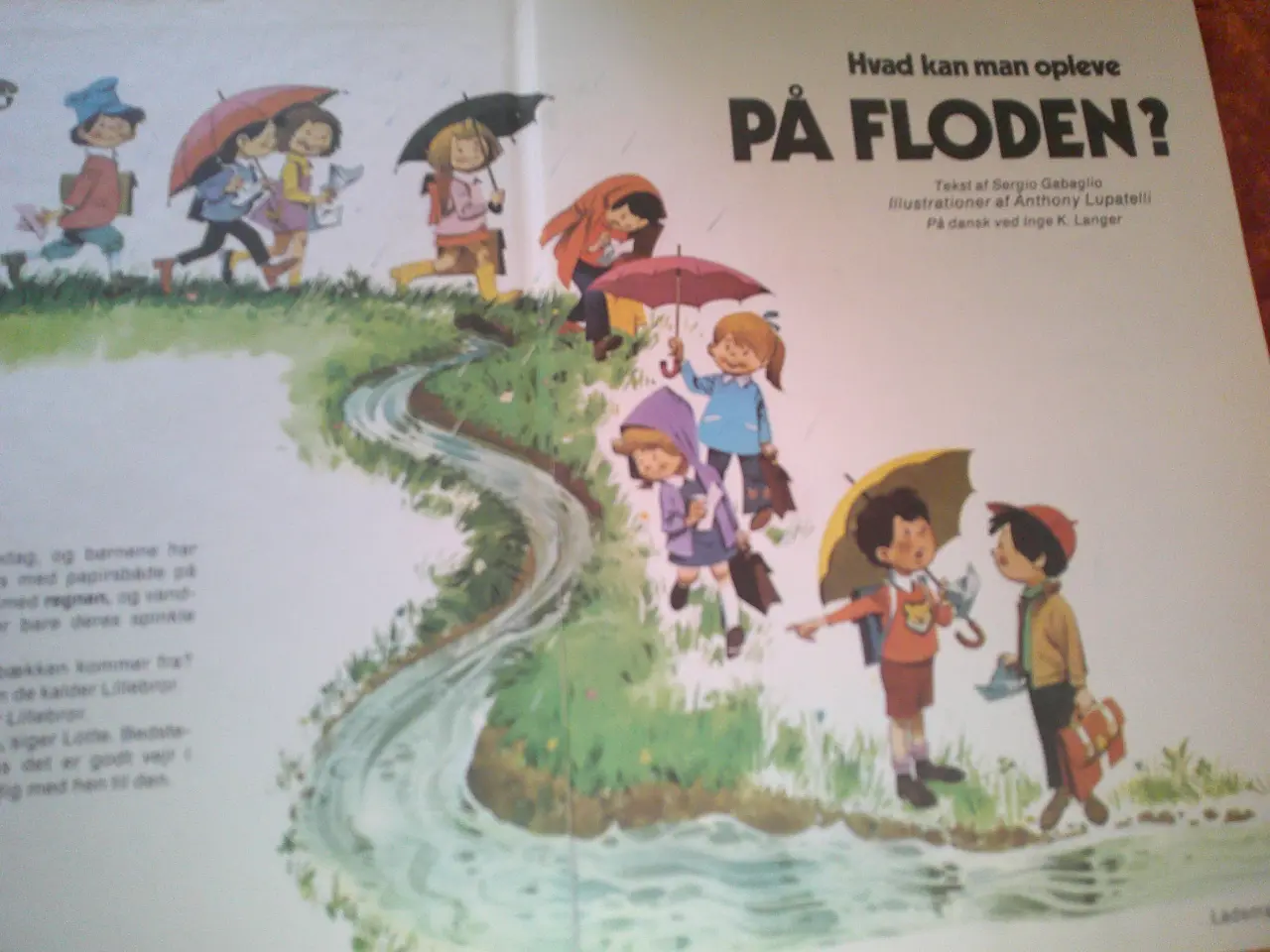 Billede 2 - Hvad kan man opleve på floden?,