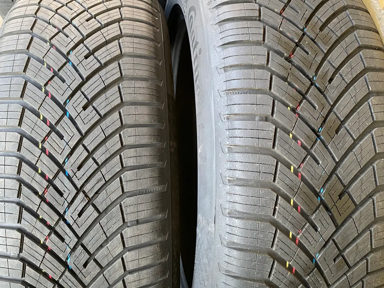 Billede 4 - 20” ID Buzz Helårs Continental 