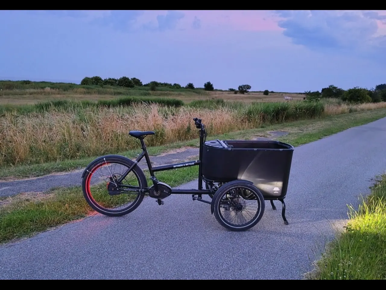 Billede 7 - Butchers&Bicycles, Automatic, 2 batterier, 2.483km
