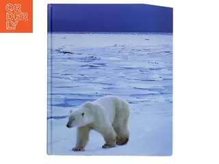På safari i hele verden af James Parry (Bog)
