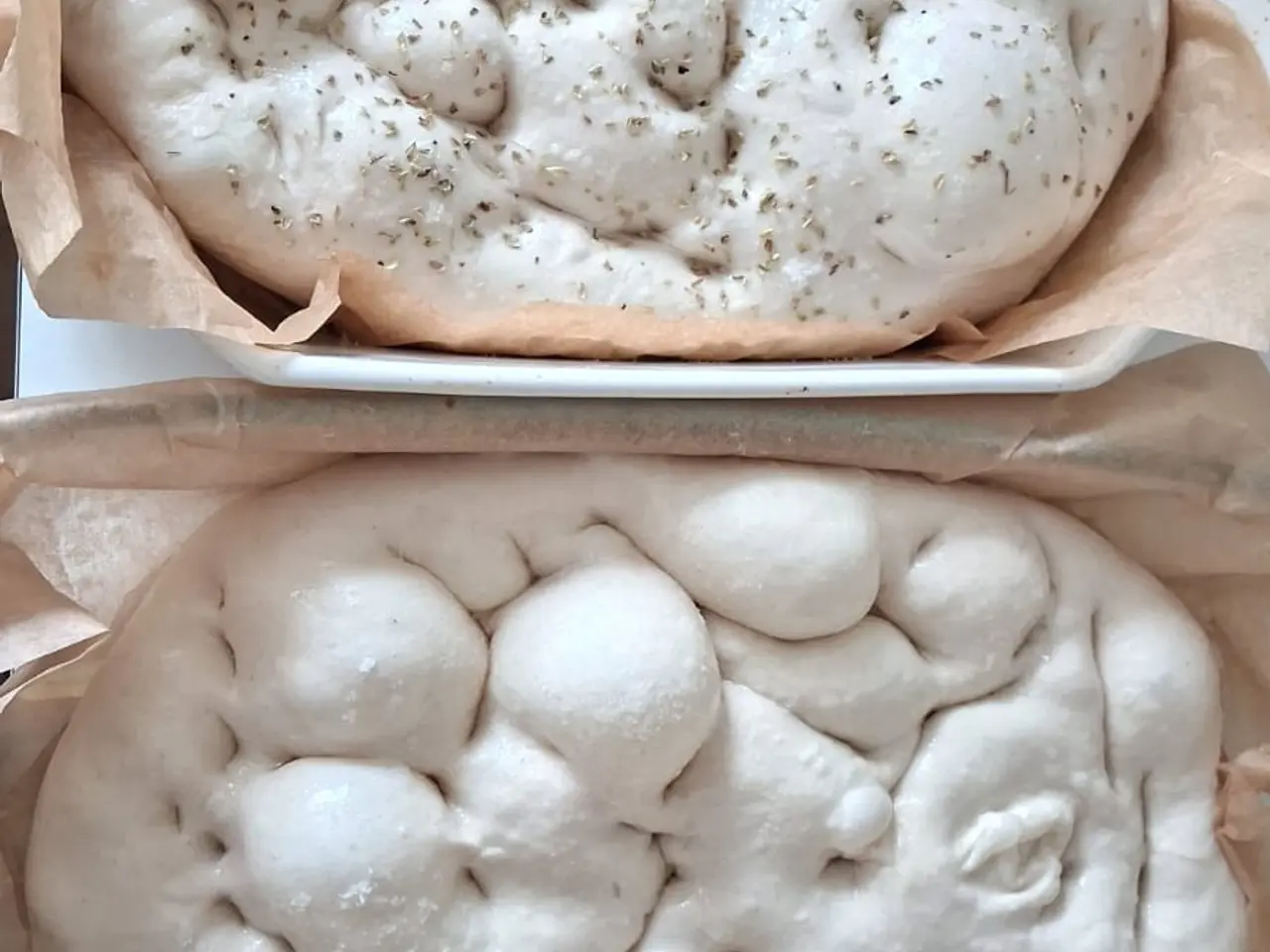 Billede 8 - Surdejsstarter til brødbagning + gratis focaccia-o