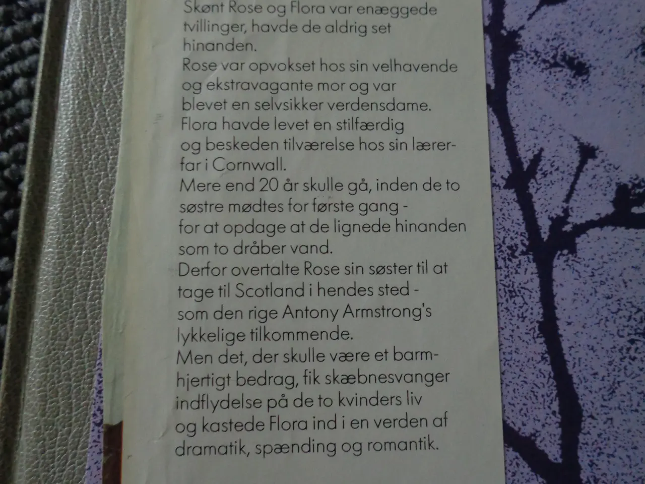 Billede 4 - Tvillingerne