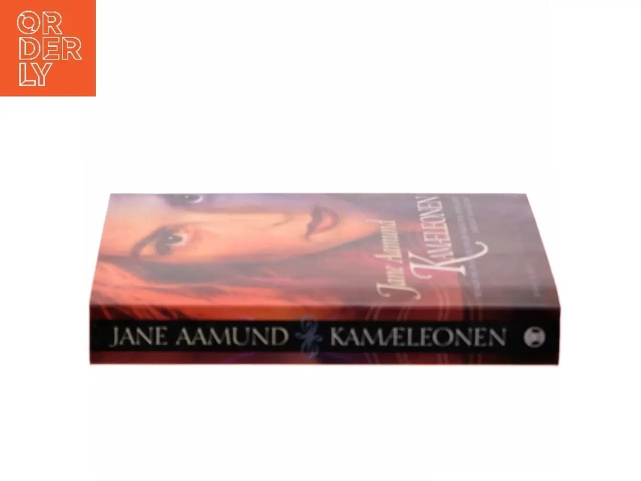 Billede 2 - Kamæleonen af Jane Aamund (Bog)