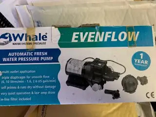 Whale Evenflow trykvandspumpe, ferskvand,EF2.1024