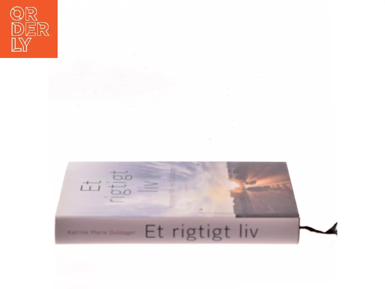 Billede 2 - Et rigtigt liv : roman af Katrine Marie Guldager (Bog)