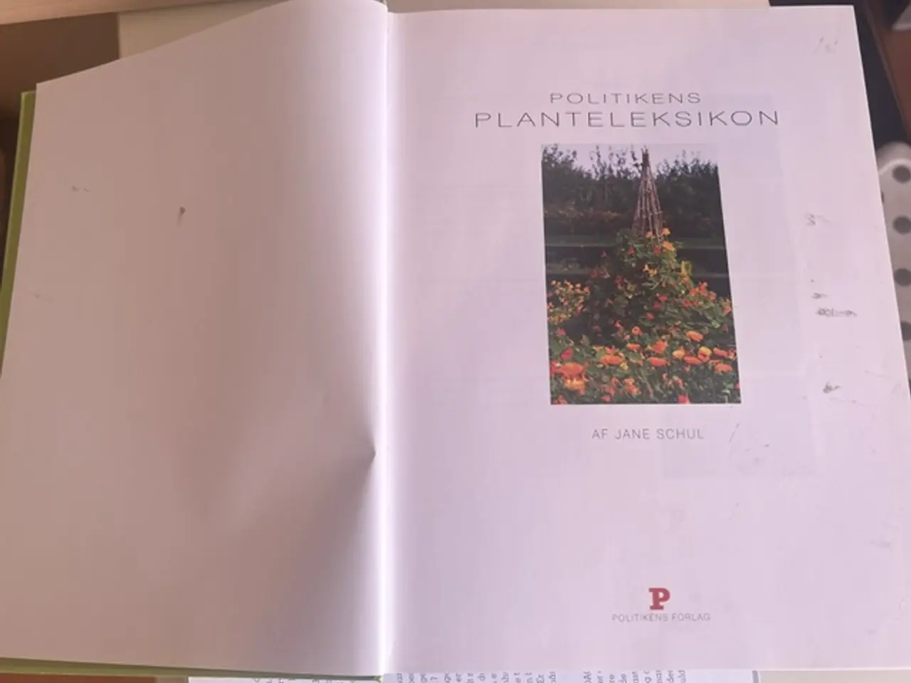 Billede 5 - Politikens Planteleksikon – 1000 planter til haven