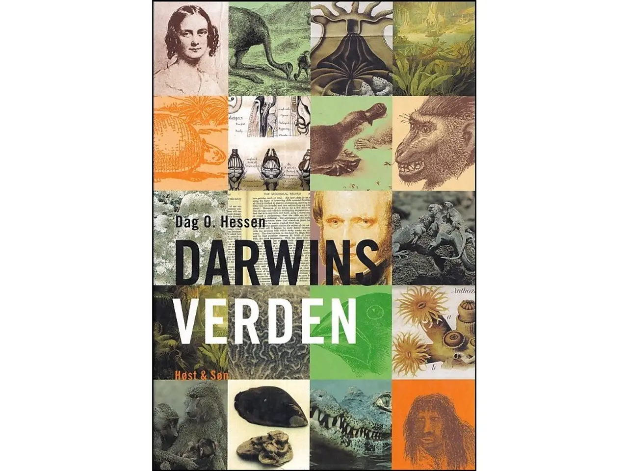Billede 1 - Darwins Verden