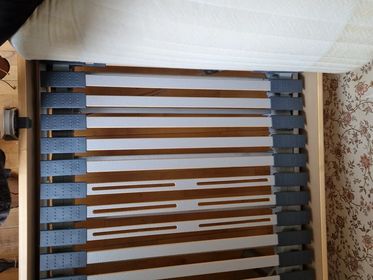 Billede 1 - Elevationsseng bortgives