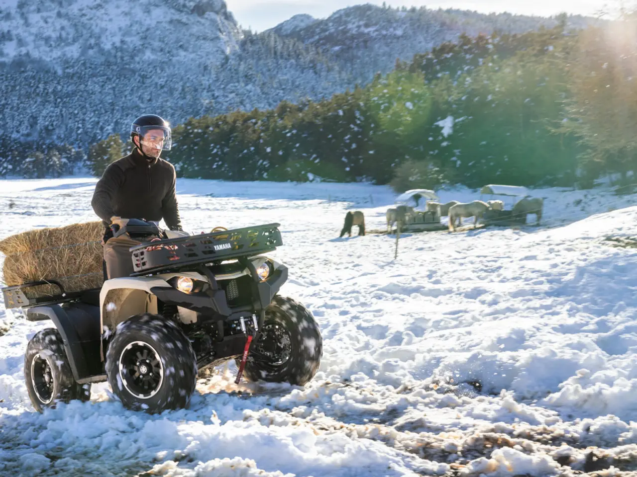 Billede 4 - Yamaha Kodiak 450 EPS Kiwami - Traktor