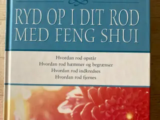 Ryd op i dit rod med Feng Shui, Karen Kingston