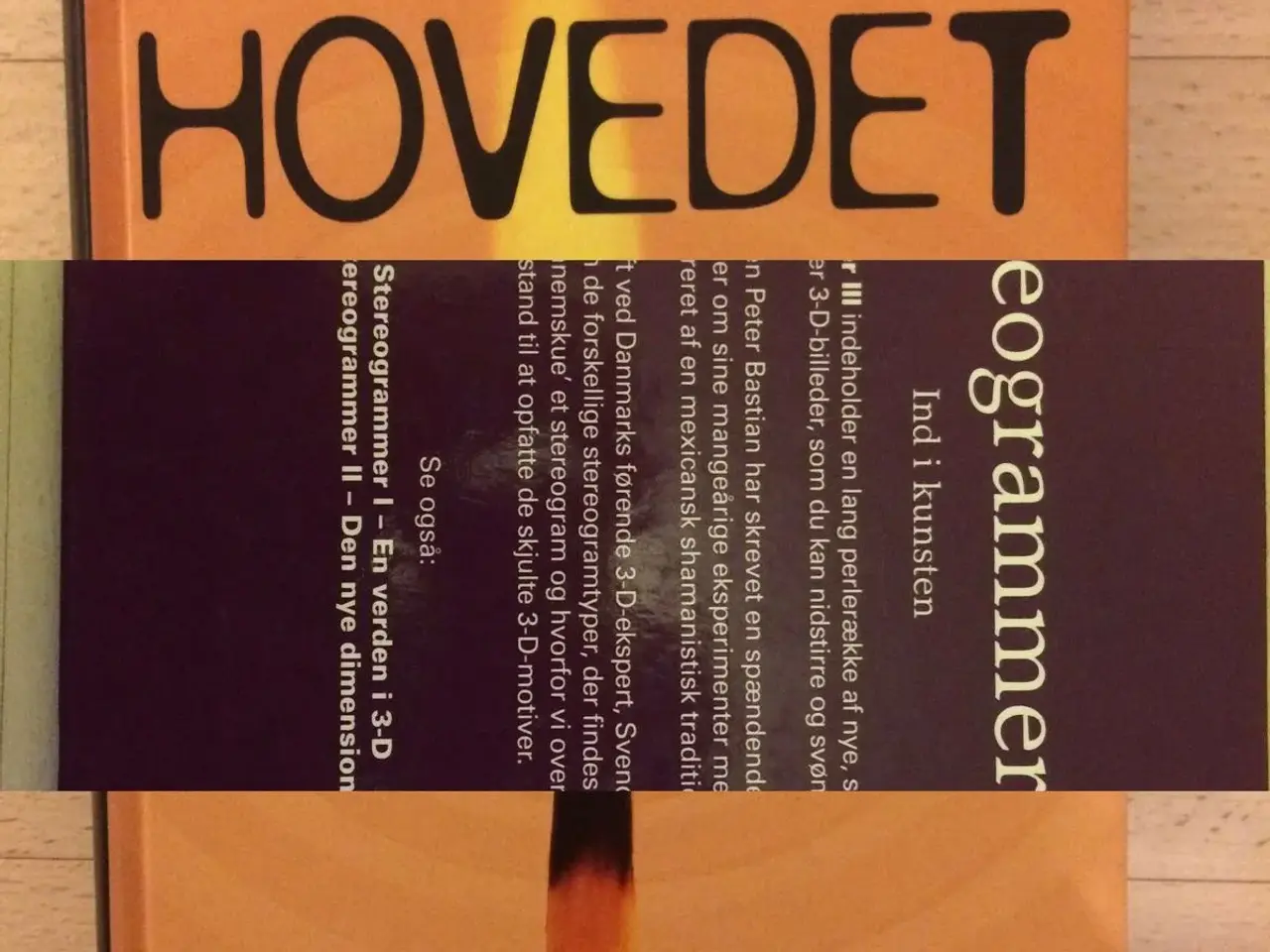 Billede 1 - Brug hovedet, Lederens personlige Samuel A. Malone