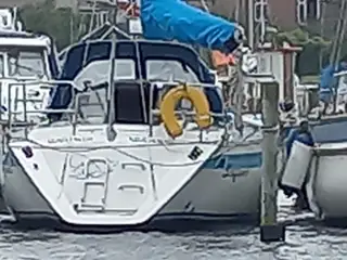 Møn 341