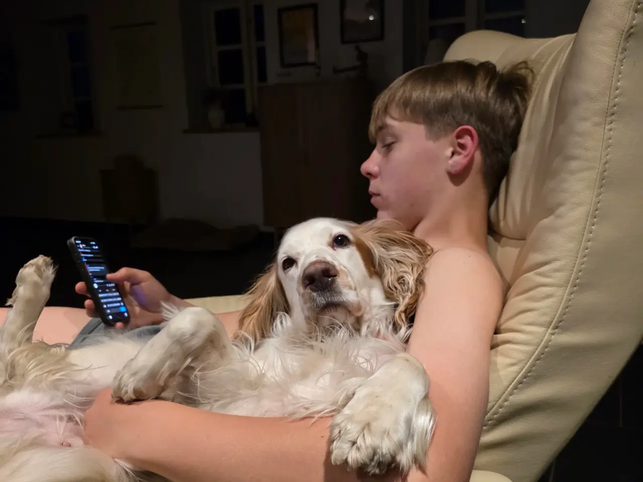 Billede 4 - Verdens lækreste engelske Cocker Spaniel-hvalpe.