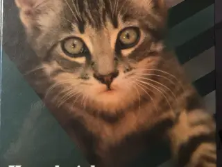 Katte bøger 4stk