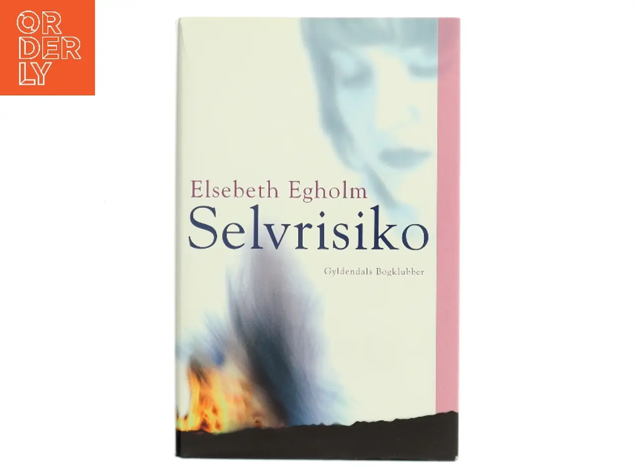 Billede 1 - Selvrisiko af Elsebeth Egholm (Bog)