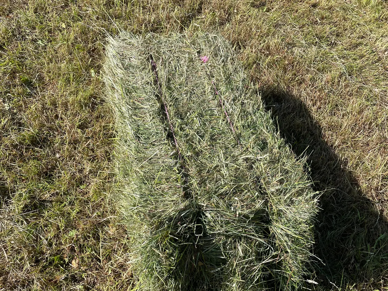 Billede 1 - Wrap i småballer 