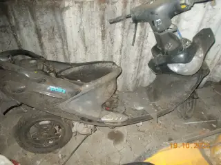 pgo