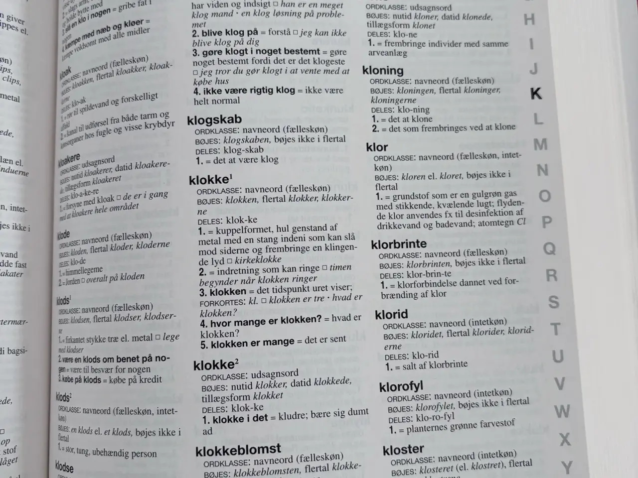 Billede 7 - Retskrivnings- og betydningsordbog
