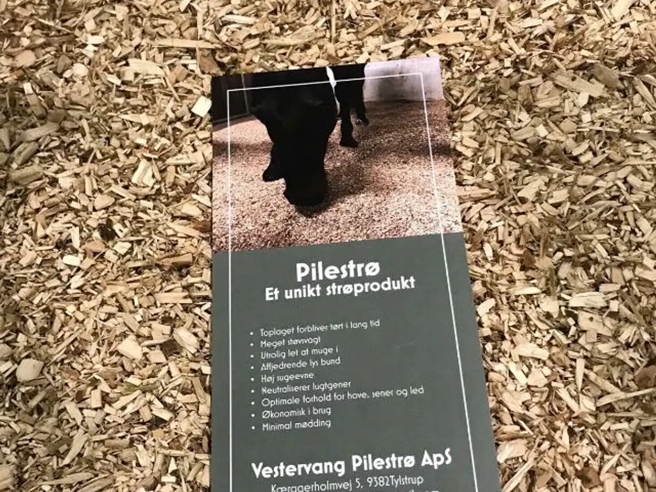 Billede 3 - Strøelse til heste