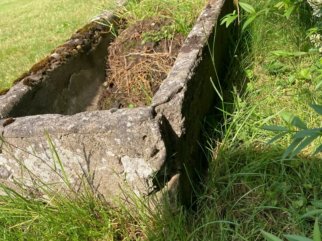 Billede 3 - Stentrug