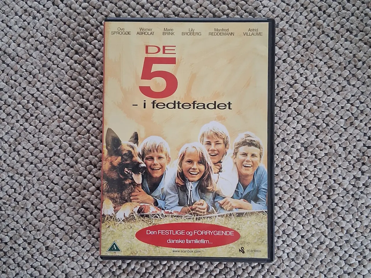 Billede 1 - De fem I fedtefadet