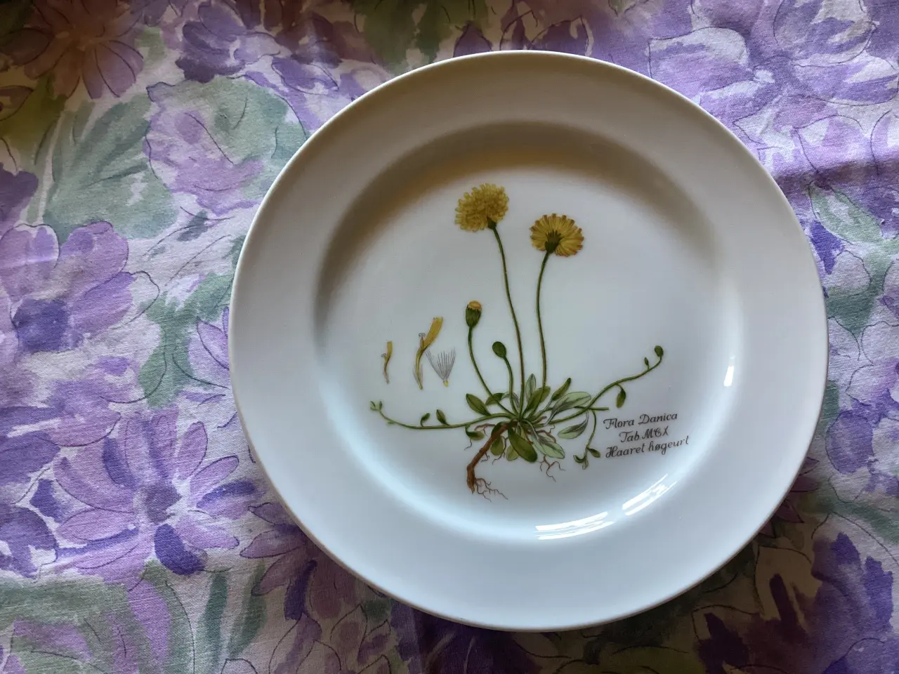 Billede 3 - 7stk. Faxe Flora frokosttallerken.