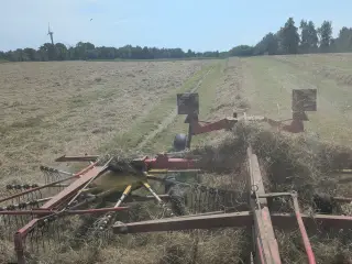 Hø/ rajgræs halm / hø/ frøgræs