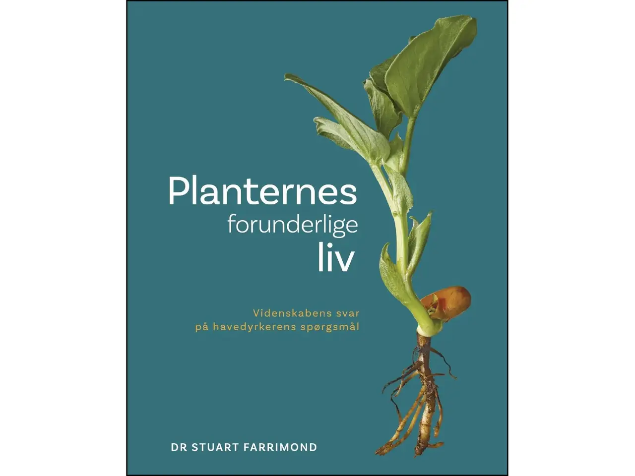 Billede 1 - Planternes forunderlige liv