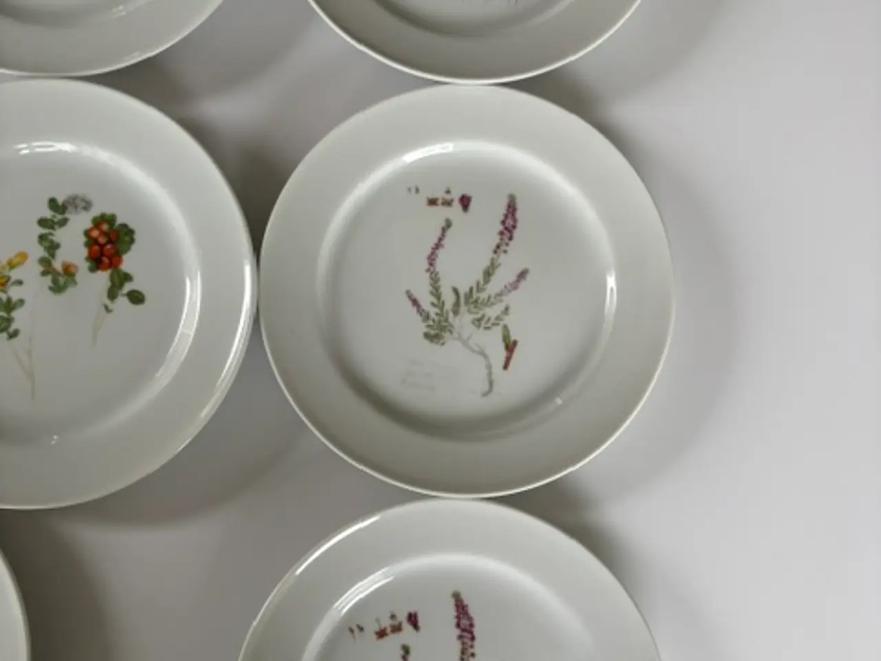 Billede 6 - 11 Flora Danica tallerkener med botaniske motiver